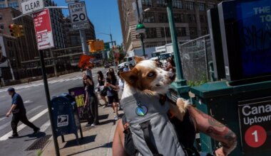 Walking Through the Chaos on Canal Street as NYC Plans Its Redesign
