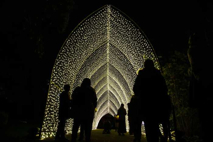 winter cathedral lightscape