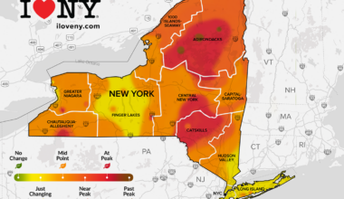 Colorful peak foliage arriving in communities across the Adirondacks