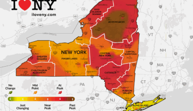 Vibrant peak foliage continuing colorful trek across New York State