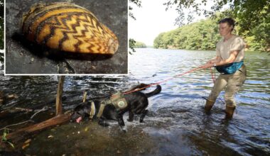 Reservoir dogs are protecting NYC's water supply from invasive species