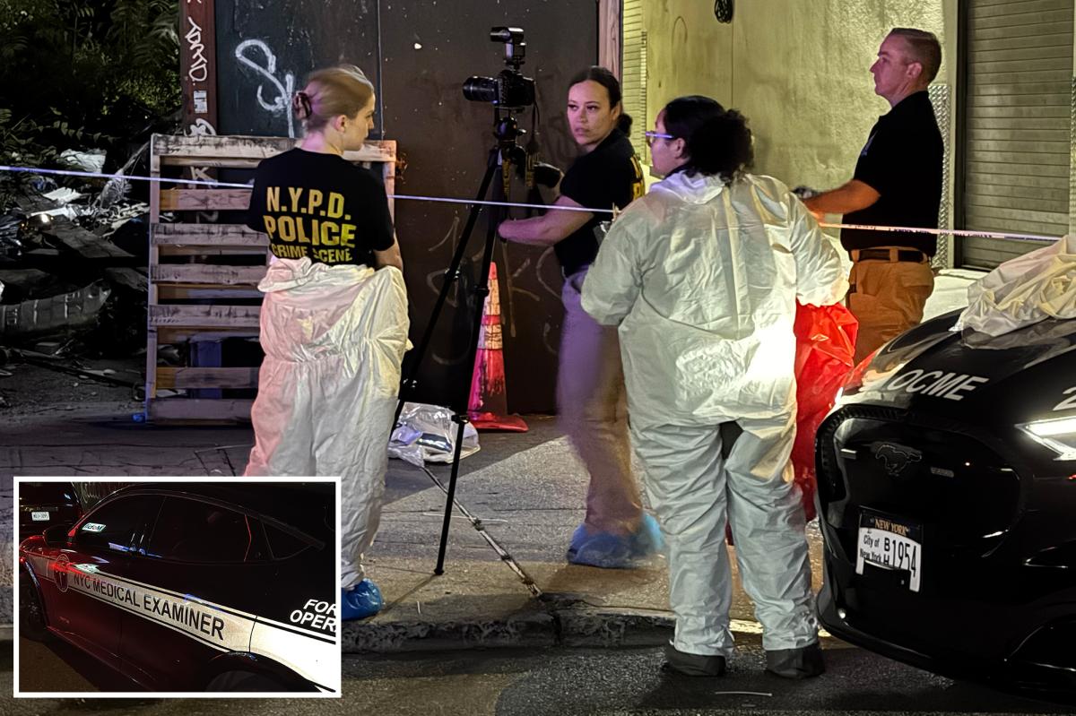 Burned corpse mysteriously found at vacant NYC lot: cops, sources