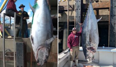 New Hampshire fisherman Brandon McGirl lands state-record bluefin tuna on overnight trip out of Rye Harbor