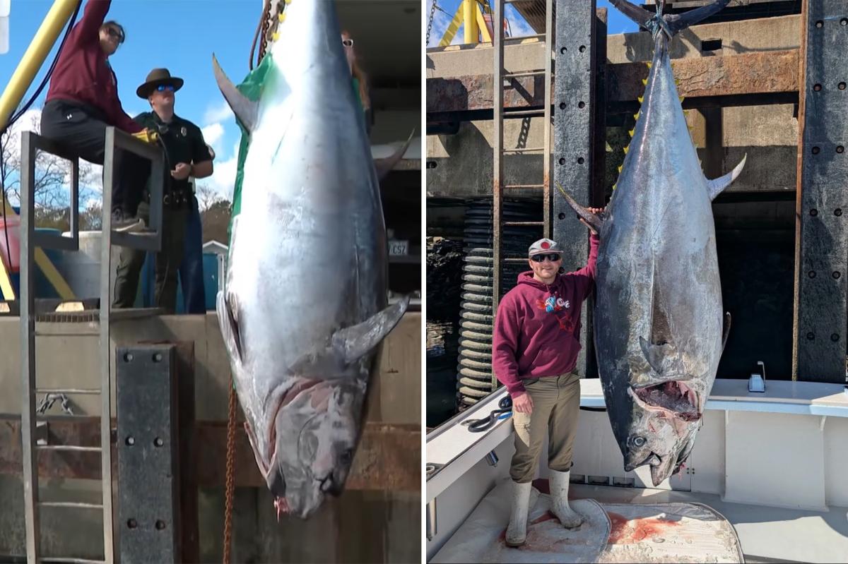 New Hampshire fisherman Brandon McGirl lands state-record bluefin tuna on overnight trip out of Rye Harbor