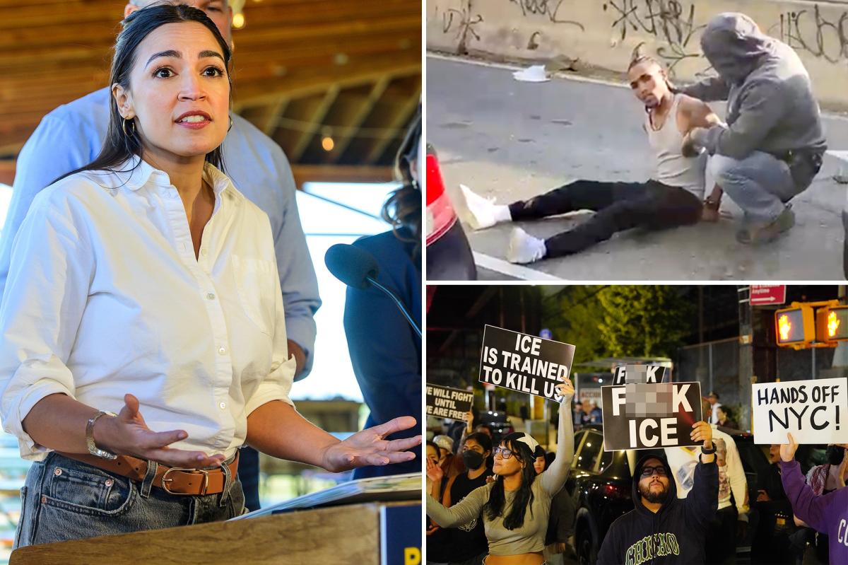 AOC calls for 'full and independent investigation' into Bronx ICE shooting
