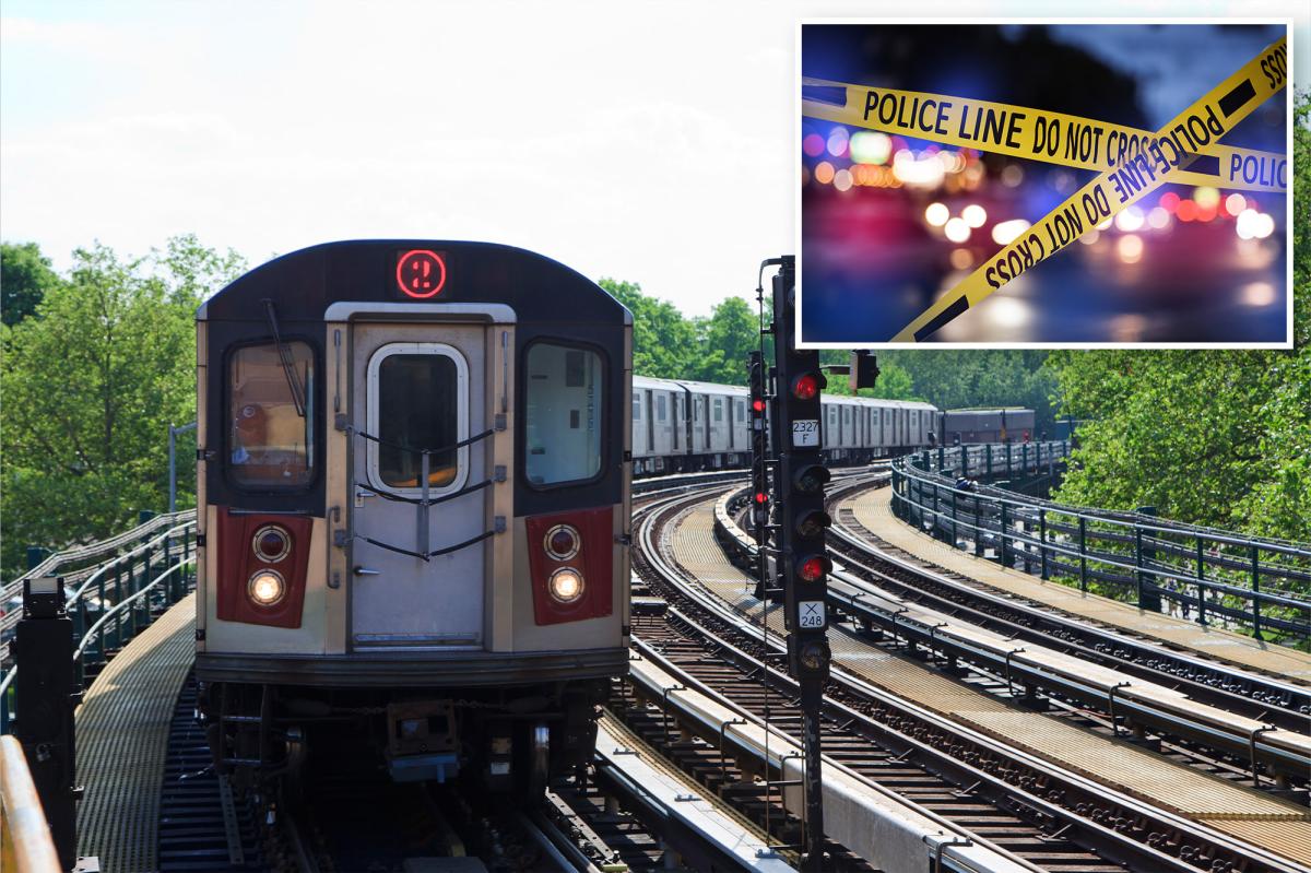 Knife-wielding stranger slashes commuter in face on NYC train during morning rush: cops, sources