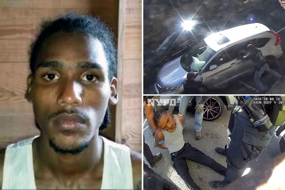 'Criminal illegal' migrant shot by ICE terrorized NYC apartment building with machete: 'Menace to society'