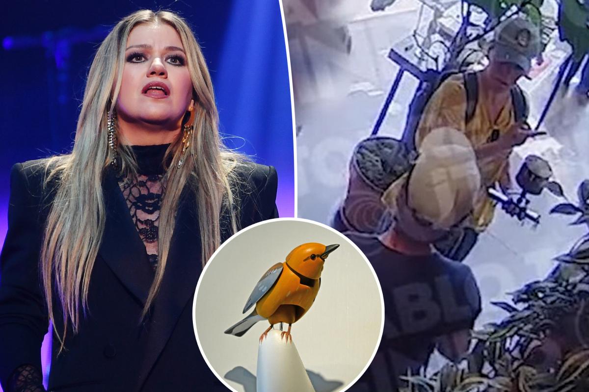 Kelly Clarkson seen in security footage at Brooklyn store where viral dispute occurred