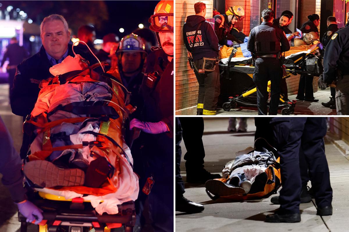 Armed nutjob barricaded himself in NYC apartment after shooting two people: NYPD