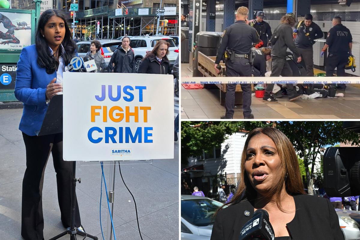 Saritha Komatireddy slams AG Letitia James over NYC transit 'chaos'