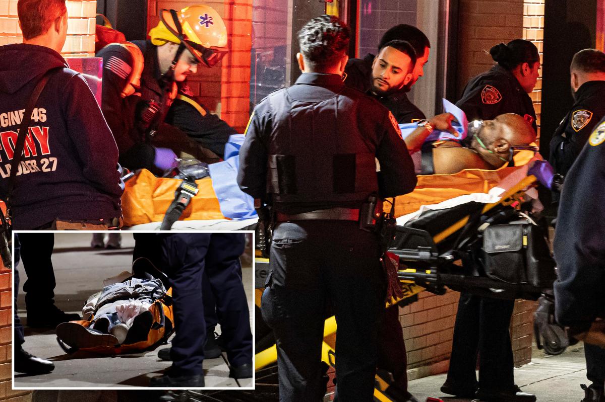 Jilted geriatric's love-triangle victims uttered three words to NYPD cops