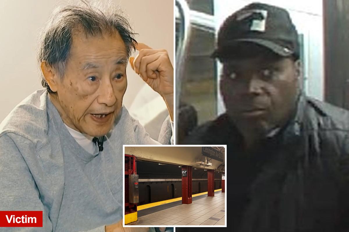 Astrophysics professor, 90, needed hip replacement after vile stranger shoves him off NYC subway