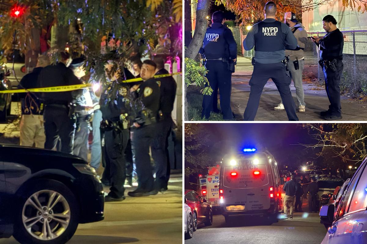 NYC botched burglary leaves 4 stabbed, suspect shot by cops in Queens