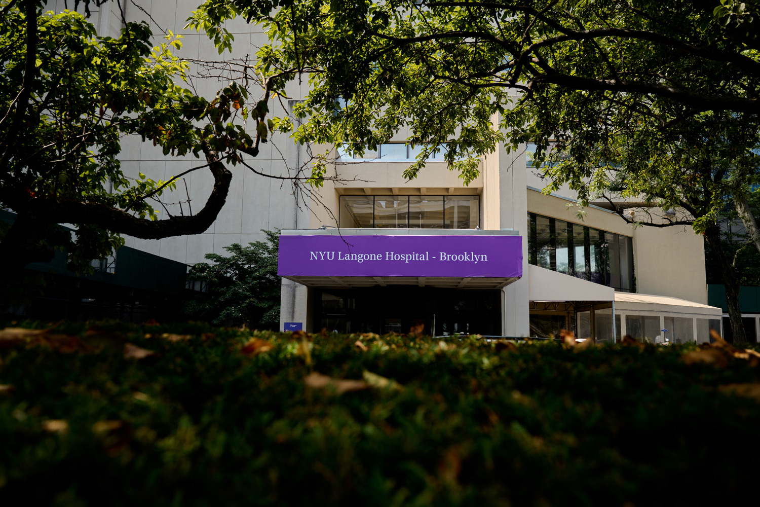 NYU Langone Health Expands Access to Behavioral Health Services in Brooklyn With New Comprehensive Psychiatric Emergency Program