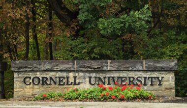 'Cornell 7' investigation could be doomed as New York targets legal loophole