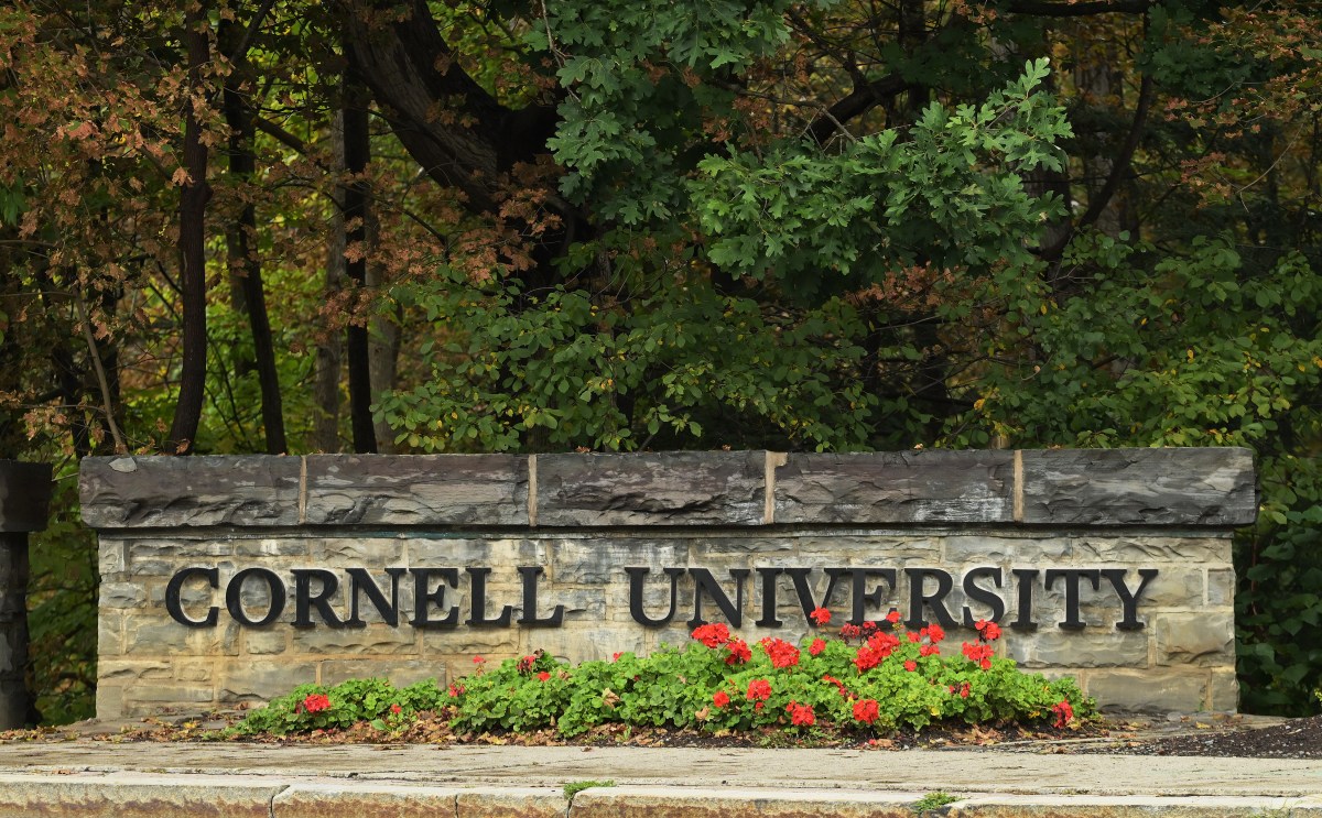 'Cornell 7' investigation could be doomed as New York targets legal loophole