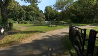 Human remains found at Long Island park may be of missing person – NBC New York