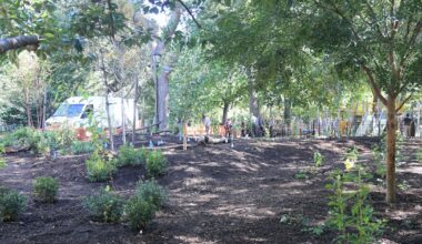 EV Grieve: Tompkins Square Park officially has a mini forest