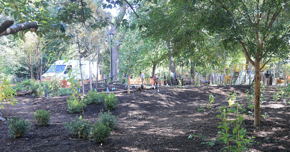 EV Grieve: Tompkins Square Park officially has a mini forest