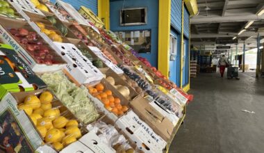 Mamdani faces pressure to forge ahead with plan to fix polluting South Bronx market