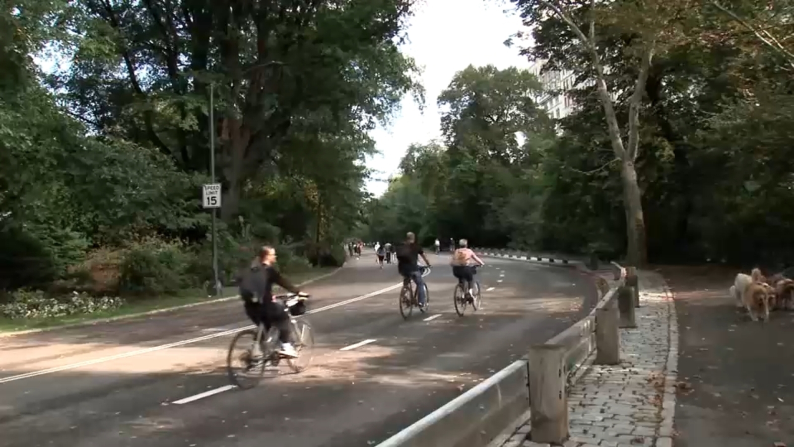 Central Park biker killed: Man thrown from bike and dies after hitting dog in NYC