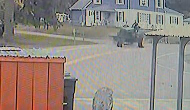 New York hayride crash: 10 injured