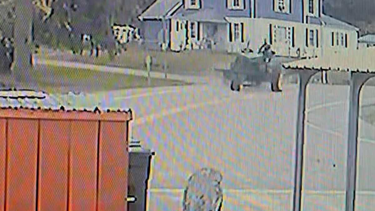New York hayride crash: 10 injured