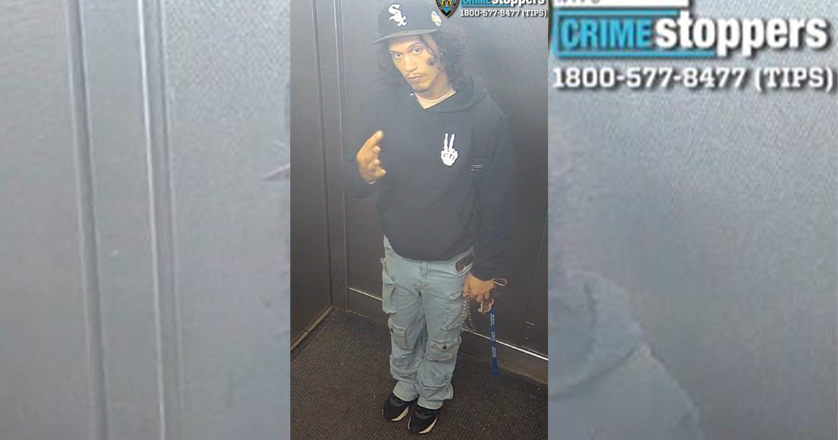 Bronx man arrested after mother, baby pushed from balcony, NYPD says