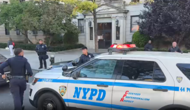 News 12 | Bronx | Man Stabbed To Death Inside Apartment Building In Mount Eden