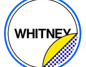 Union-Represented Whitney Museum Workers In New York City ‘Settle Contract Hours Before Strike Deadline’ - 200 Staffers Will Receive Wage Increases, Longevity Bonuses & Stronger Health And Safety Protections