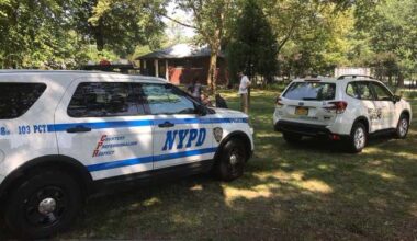 Bronx man accused of stabbing a homeless man to death in Major Mark Park in Jamaica: NYPD – QNS