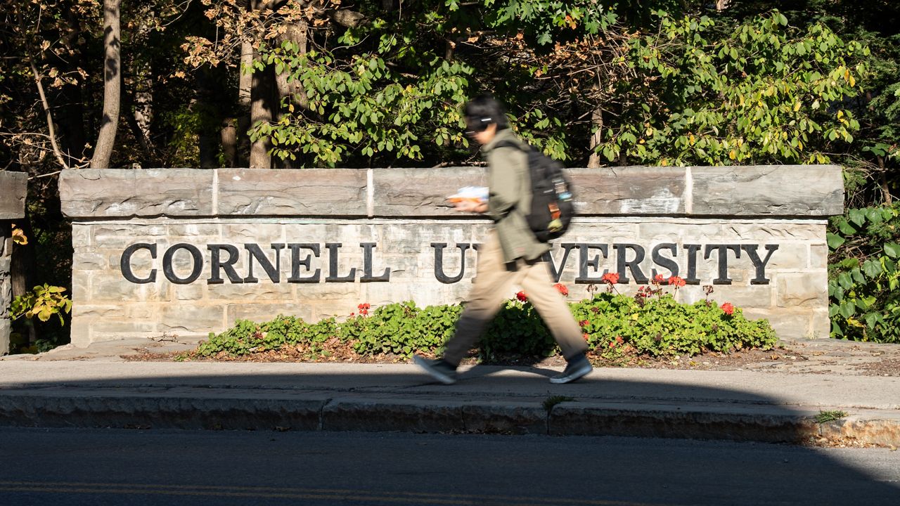 Cornell gang rape allegations prompt national day of action