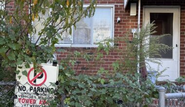 Neighborhood 'zoo' of blocked driveways leads New Yorker to boot someone’s parked car