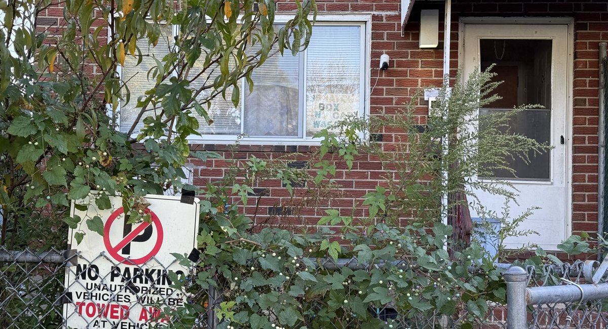 Neighborhood 'zoo' of blocked driveways leads New Yorker to boot someone’s parked car