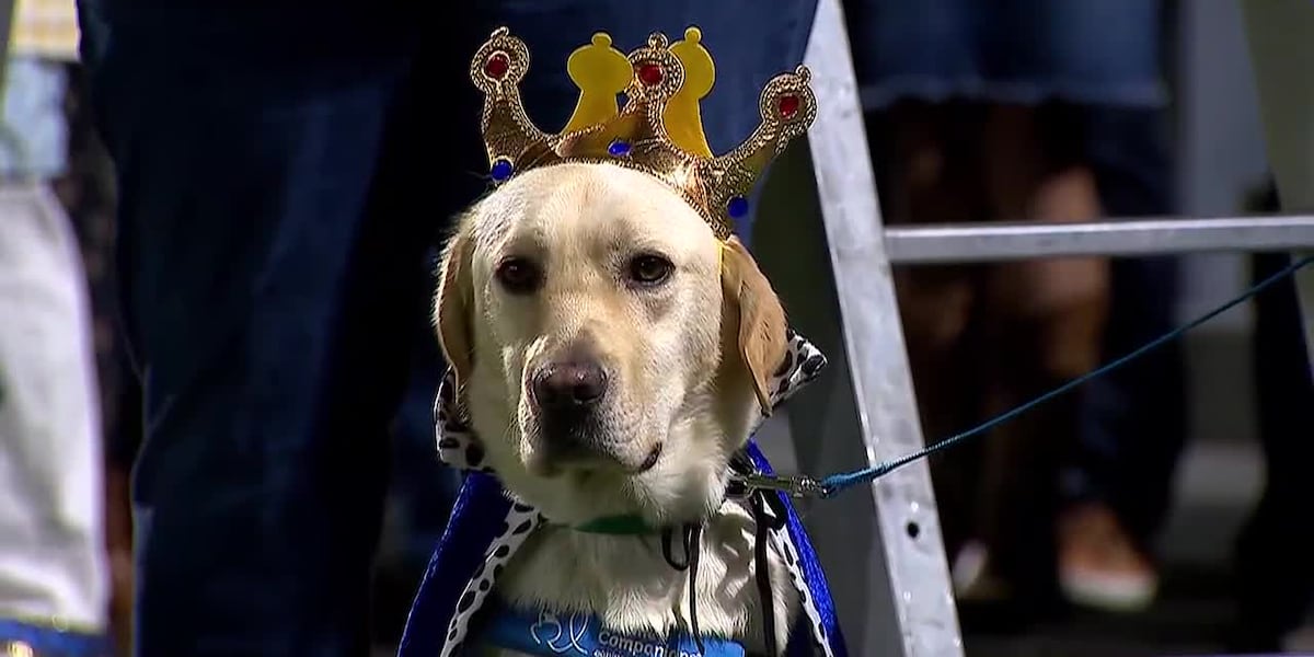 School’s therapy dogs crowned homecoming king and queen