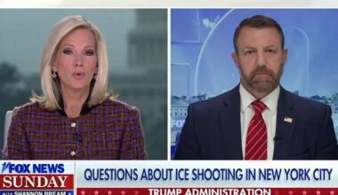 ICE shooting in NYC sparks questions, poll says they've 'gone too far'