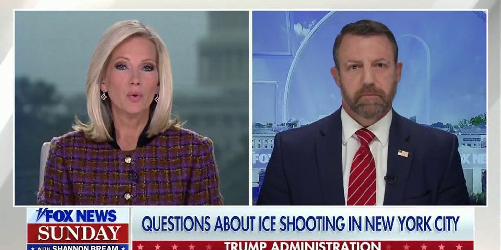 ICE shooting in NYC sparks questions, poll says they've 'gone too far'