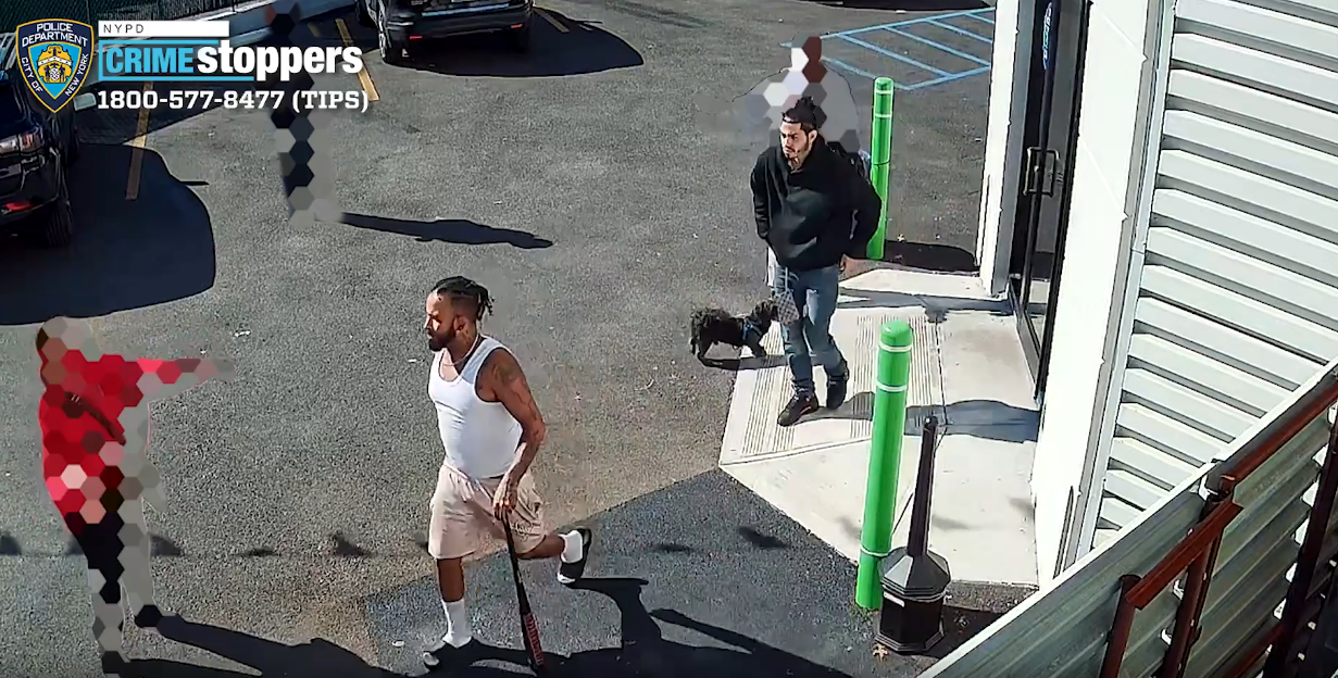 News 12 | Connecticut | Brazen Baseball Bat Attack In Baychester Leaves Man Injured