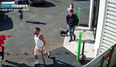 News 12 | Bronx | Brazen Baseball Bat Attack In Baychester Leaves Man Injured