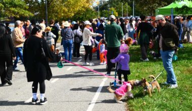 NYC Parks hosts second annual Halloween Pooch Parade in Little Bay Park – QNS