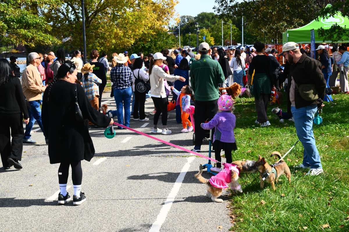 NYC Parks hosts second annual Halloween Pooch Parade in Little Bay Park – QNS
