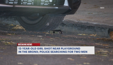 News 12 | Bronx | 12 Year Old Girl Wounded In Bronx Shooting 2 Men Sought