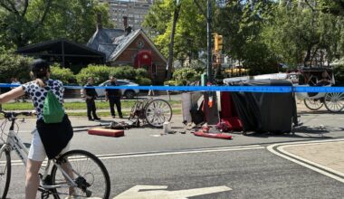NYC Council set to ban Central Park's carriage horse industry