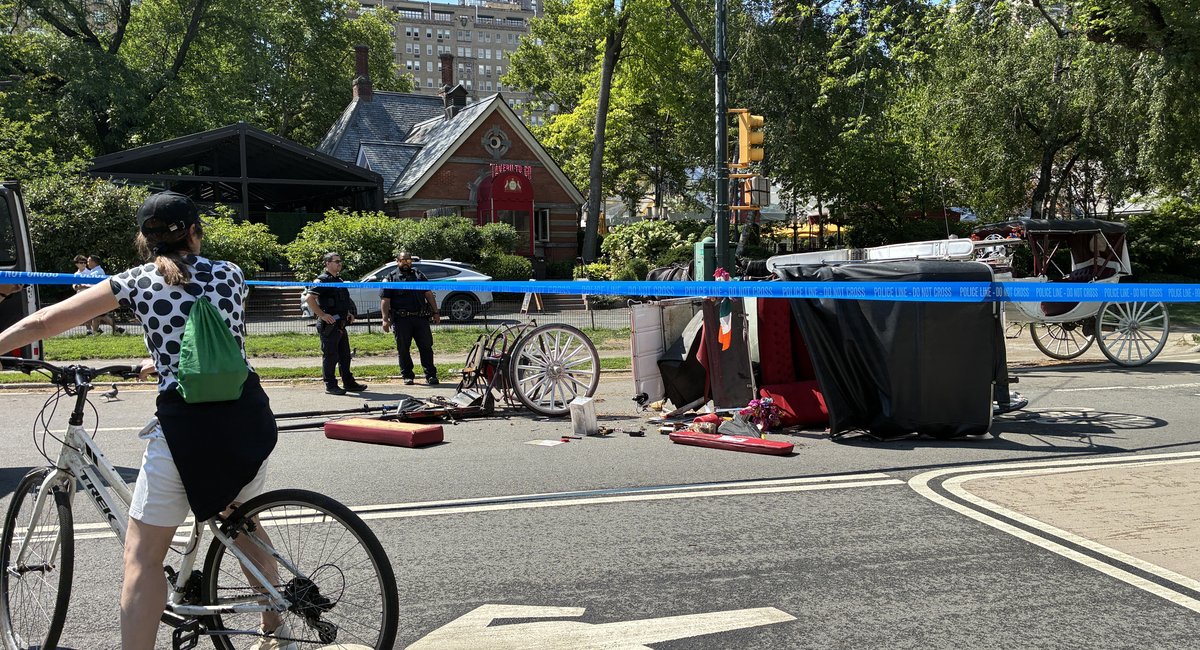 NYC Council set to ban Central Park's carriage horse industry