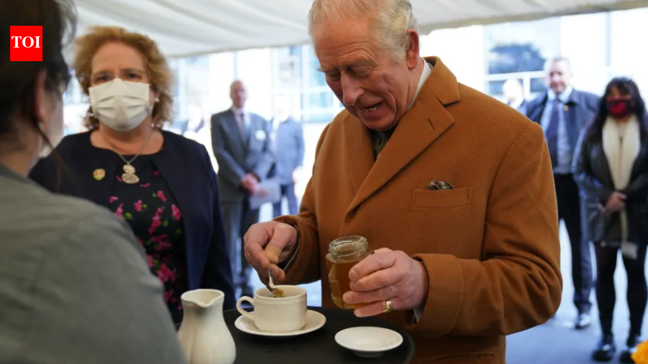 King Charles and Queen Camilla’s royal beehives produce hundreds of jars of honey; the Queen’s own honey is sold to raise money for charity | World News