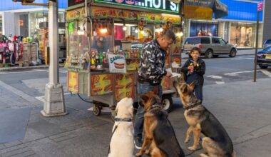22 New York City food pantries to start offering pet food