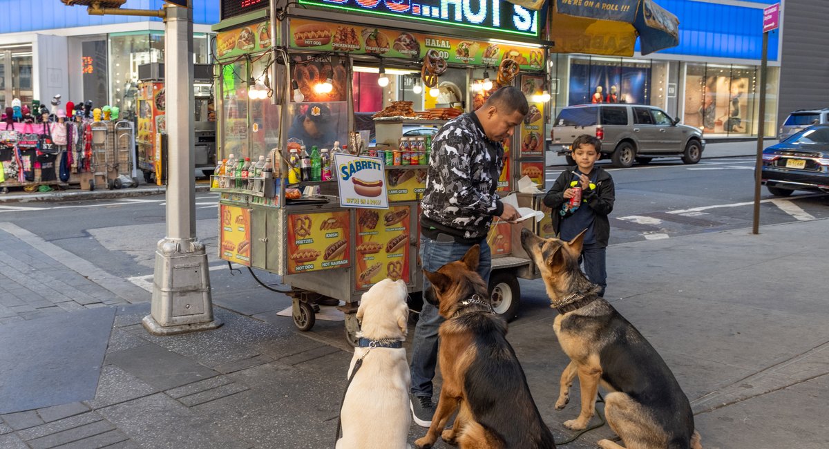 22 New York City food pantries to start offering pet food