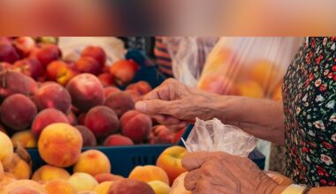 New York rolls out $26.4M food assistance initiative amid federal SNAP rule changes