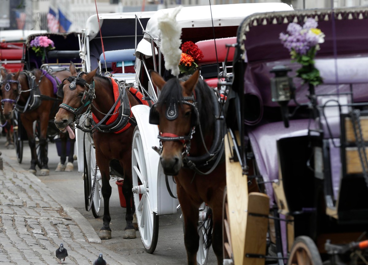 Why Zohran Mamdani Aims to Ban NYC’s Iconic Horse-Drawn Carriages