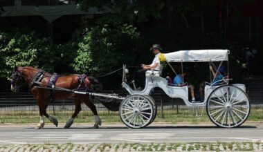 Mamdani, NYC leaders agree to ban Central Park horse-drawn carriages by 2028